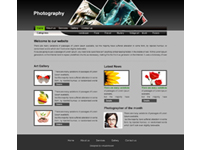 Art & Photography template